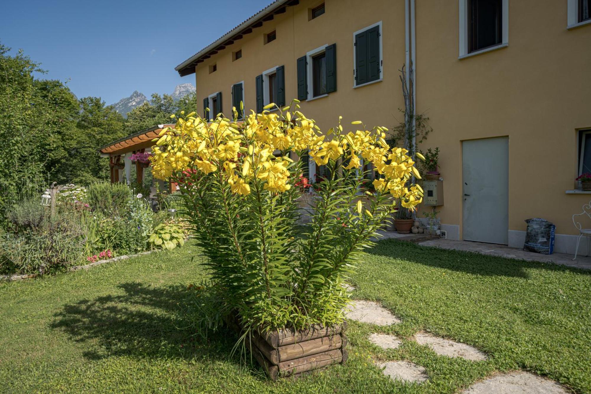 Casa Edith Libano 외부 사진